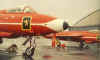 belgianreddevilspic2.jpg (41721 bytes)